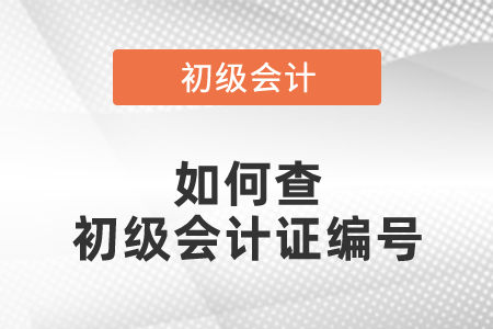 如何查初級會計證編號？