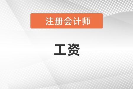 注冊會(huì)計(jì)師工資有多少？