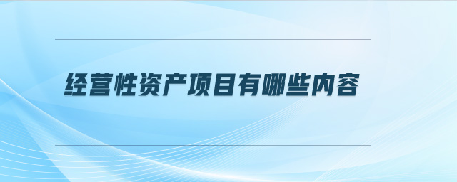 經營性資產項目有哪些內容