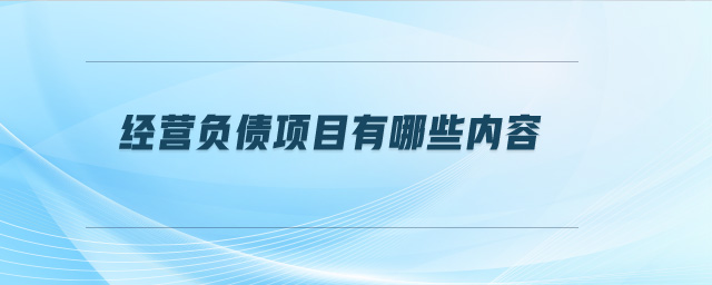 經營負債項目有哪些內容