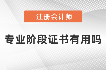 注冊(cè)會(huì)計(jì)師專業(yè)階段證書有用嗎