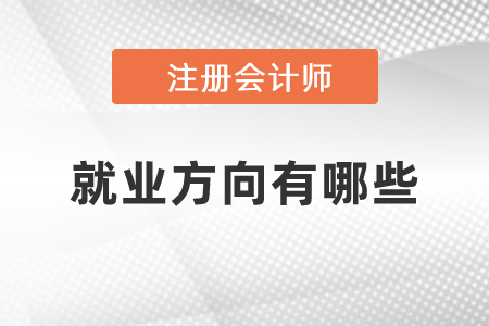 注冊(cè)會(huì)計(jì)師就業(yè)方向有哪些