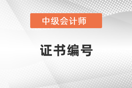 怎么查中級會計證書的證書編號？