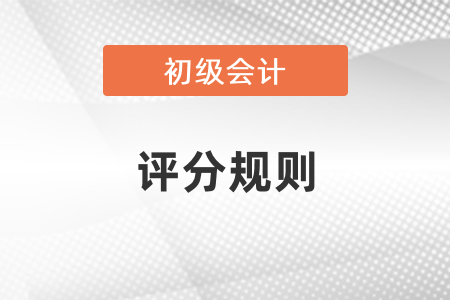 初級會計(jì)考試不定項(xiàng)題評分規(guī)則