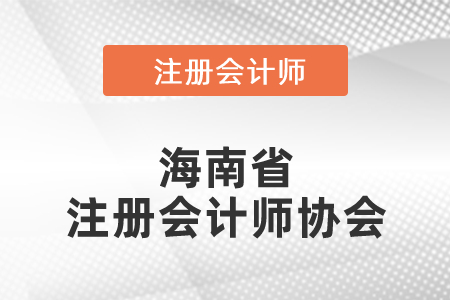 海南省東方市注冊會計師協(xié)會