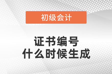 初級會計(jì)證書編號什么時(shí)候生成
