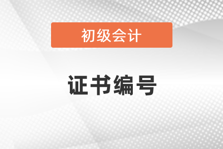 怎么查詢初級(jí)會(huì)計(jì)證書編號(hào)？