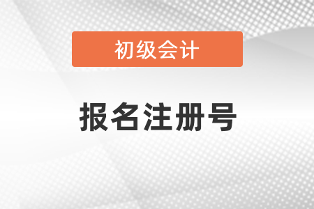 初級(jí)會(huì)計(jì)考試報(bào)名注冊(cè)號(hào)忘了怎么辦？