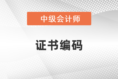 中級會(huì)計(jì)證書編號(hào)怎么查詢？