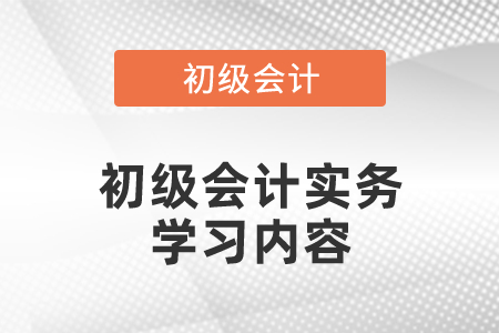 初級會計實務(wù)學(xué)習(xí)內(nèi)容