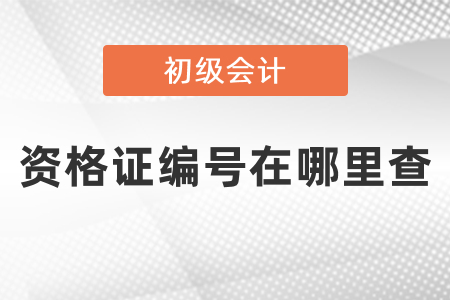 初級會計資格證編號在哪里查？