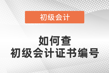 如何查初級(jí)會(huì)計(jì)證書編號(hào)