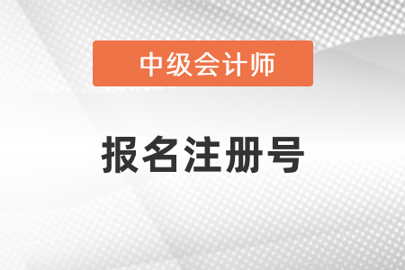 中級(jí)會(huì)計(jì)報(bào)名注冊(cè)號(hào)不存在怎么辦？