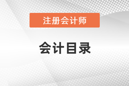 2021年注冊(cè)會(huì)計(jì)師會(huì)計(jì)目錄