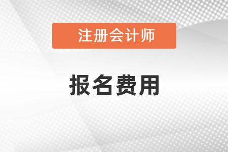 北京市大興區(qū)注冊會計(jì)師考試報名費(fèi)用是多少