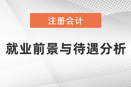 注冊會計(jì)師就業(yè)前景與待遇分析