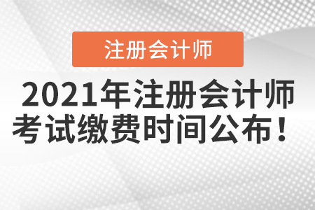 2021年注冊會計師考試?yán)U費時間公布！