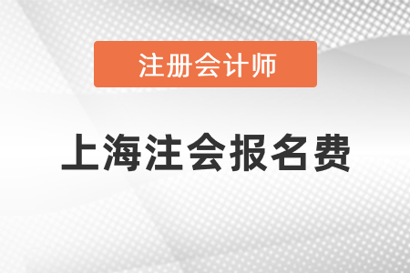 上海市楊浦區(qū)注會一科報名費是多少錢