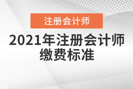 2021年注冊會計師繳費標(biāo)準(zhǔn)