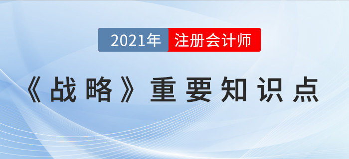 戰(zhàn)略穩(wěn)定性與文化適應(yīng)性-2021年CPA《戰(zhàn)略》重要知識點(diǎn)