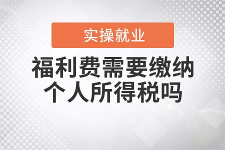 福利費(fèi)需要繳納個(gè)人所得稅嗎？