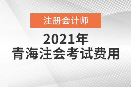 2021年青海省果洛注會考試費用多少錢