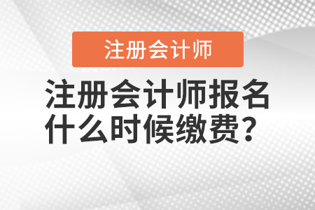 注冊(cè)會(huì)計(jì)師報(bào)名什么時(shí)候繳費(fèi)？