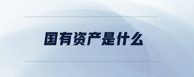 國(guó)有資產(chǎn)是什么