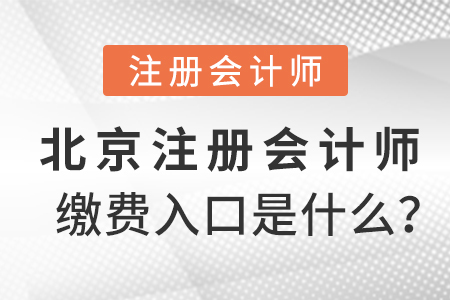 北京市大興區(qū)注冊會計(jì)師繳費(fèi)入口是什么？