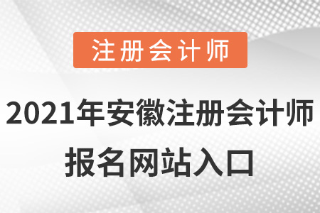 2021年安徽省蕪湖注冊會計師報名網站入口