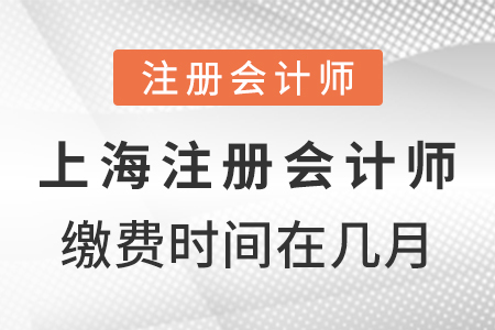 上海市黃浦區(qū)注冊會計師繳費時間在幾月？