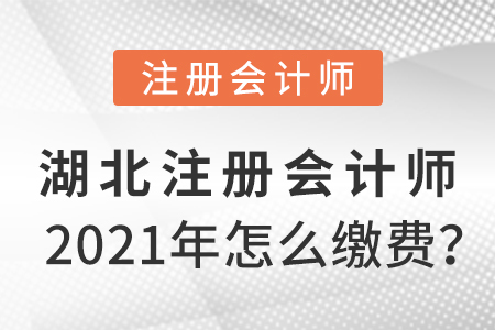 湖北省孝感2021年注冊會計師怎么繳費？