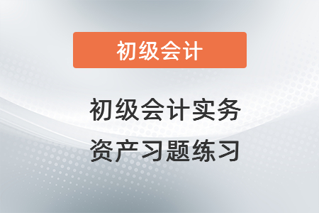 初級(jí)會(huì)計(jì)實(shí)務(wù)資產(chǎn)習(xí)題練習(xí)