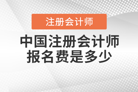中國(guó)注冊(cè)會(huì)計(jì)師報(bào)名費(fèi)是多少