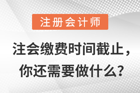 注會繳費(fèi)時(shí)間截止，你還需要做什么？