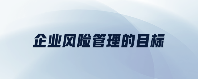 企業(yè)風(fēng)險管理的目標