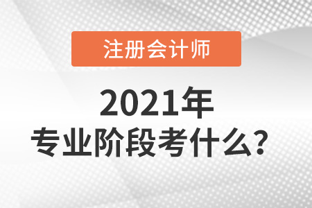注冊(cè)會(huì)計(jì)師專(zhuān)業(yè)階段考什么
