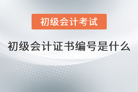 初級會計證書編號是什么？