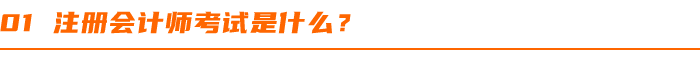 注冊(cè)會(huì)計(jì)師考試是什么？
