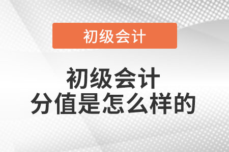 初級會計(jì)分值是怎么樣的