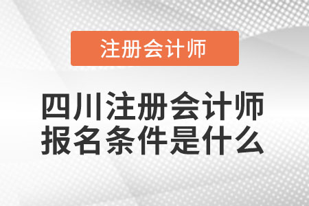 四川省雅安注冊會計師報名條件是什么