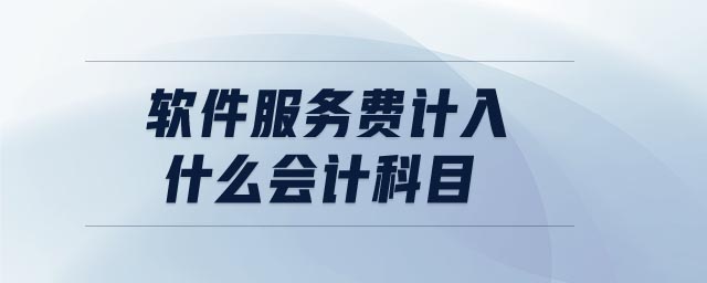 軟件服務費計入什么會計科目