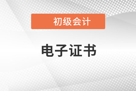 初級(jí)會(huì)計(jì)證書電子版上線了嗎？