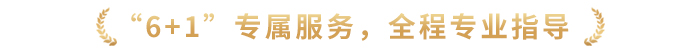 “6+1”專屬服務(wù)，全程專業(yè)指導(dǎo)