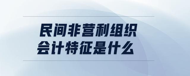 民間非營利組織會計(jì)特征是什么