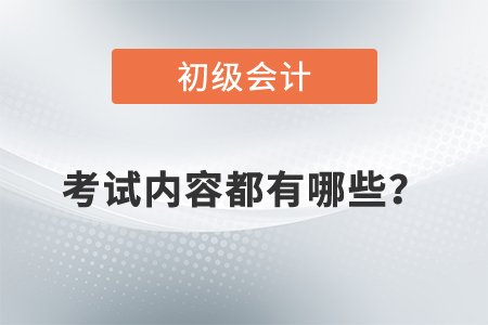 初級會計師考試內(nèi)容都有哪些？