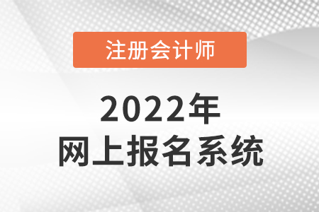 2022年注冊會計(jì)師網(wǎng)上報(bào)名系統(tǒng)是什么？