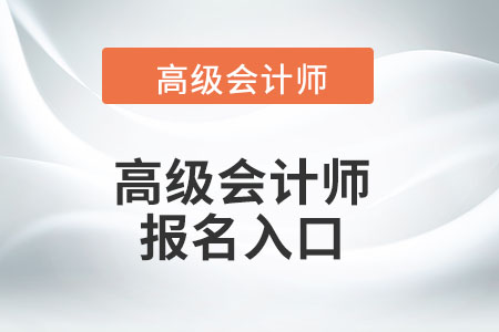 高級會計師考試報名入口只有一個嗎？