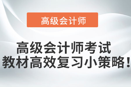 高級(jí)會(huì)計(jì)師考試教材高效復(fù)習(xí)小策略！