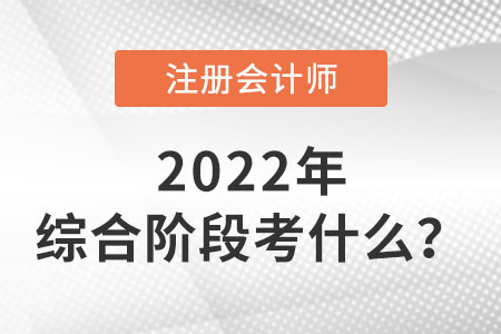 湖北省恩施cpa綜合階段考什么內容？